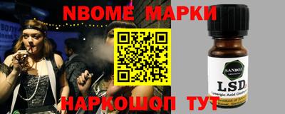 индика Обь