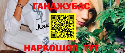 индика Обь