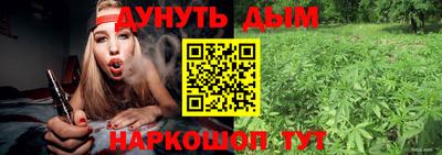 индика Обь