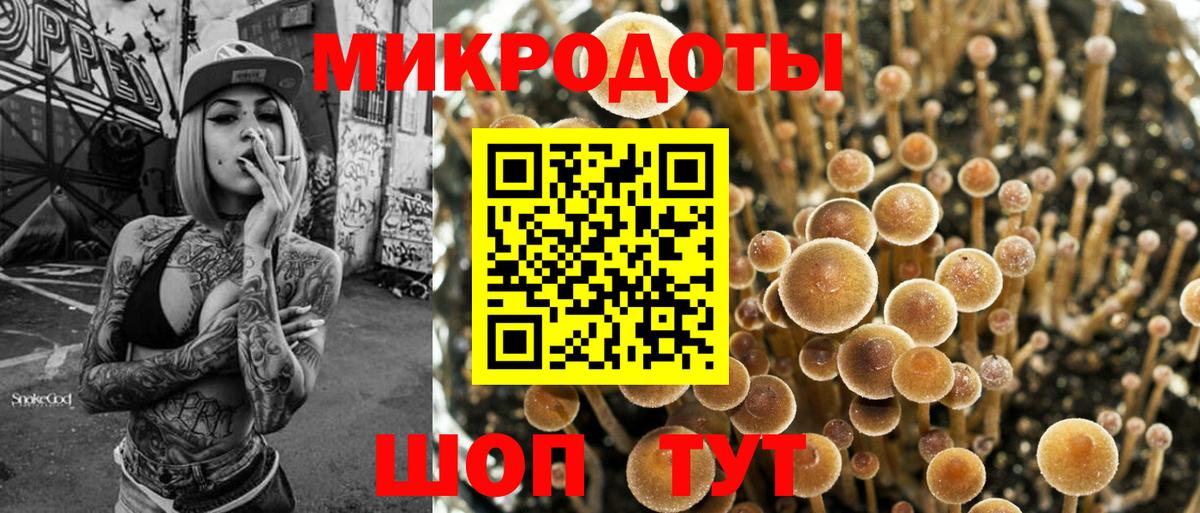 Пушкино  продажа наркотиков  Вход с VPN  Псилоцибиновые грибы Psilocybe 