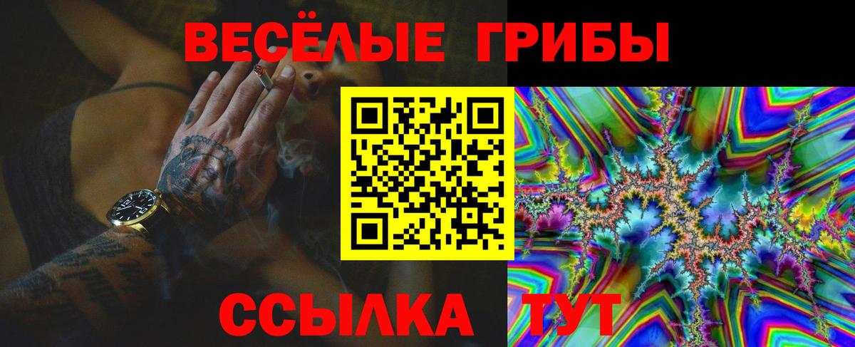 Псилоцибиновые грибы мухоморы Пушкино